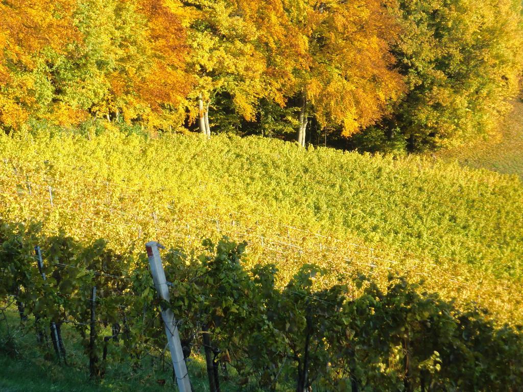 Zweytick Gaestezimmer Weingut Ratsch an der Weinstraße Dış mekan fotoğraf